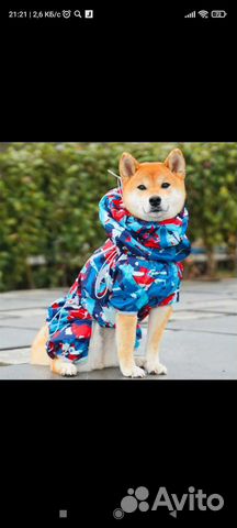 Комбенизон, щетка