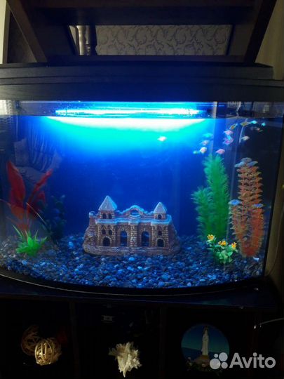 Аквариум сферический 145 литров новый