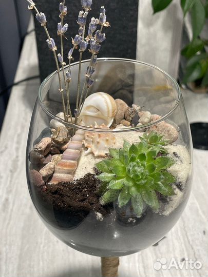 Флорариум/суккуленты/подарок