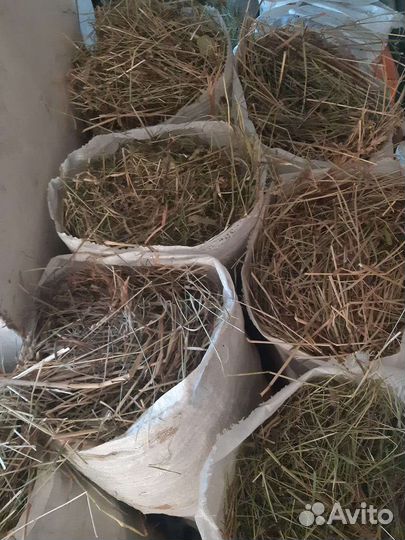 Сено в мешках 22 года