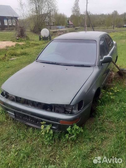 Toyota corolla100