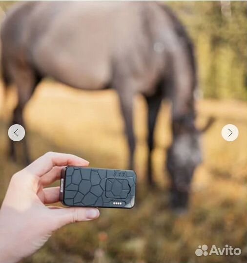 GPS-трекер для крупных животных