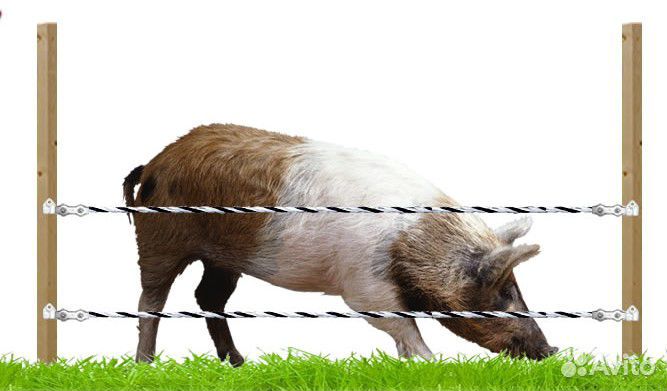 Электропастух для коров, телят, свиней, кроликов