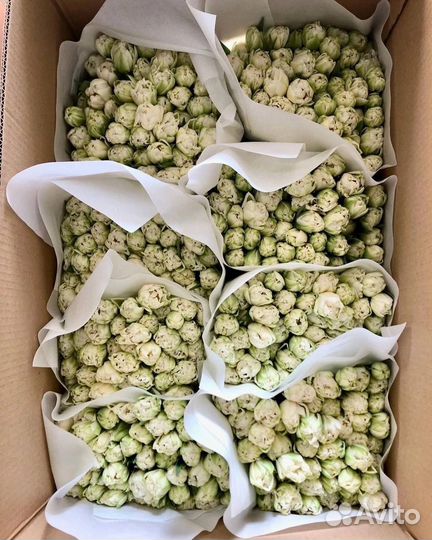 Тюльпаны к 8 марта оптом