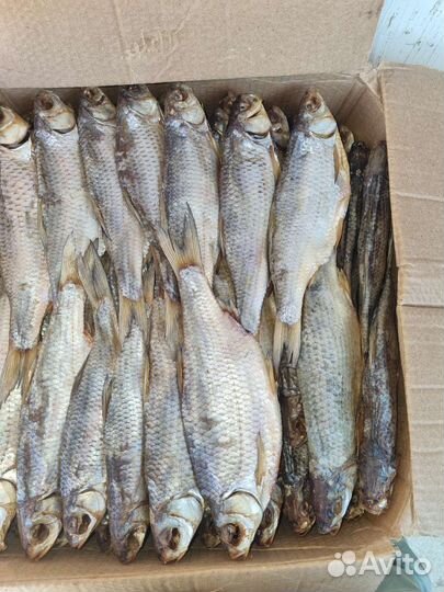 Вобла Астраханская