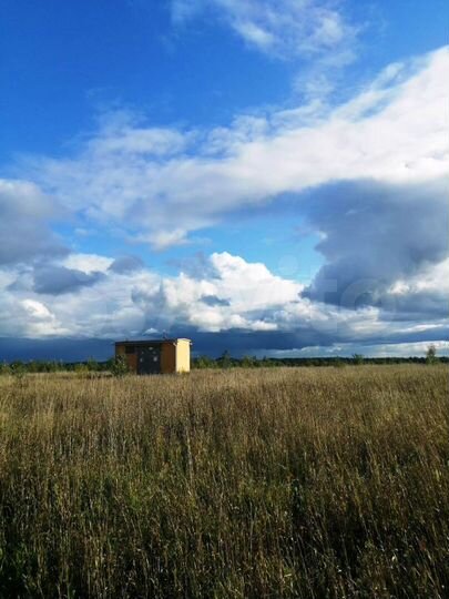 Участок 13,2 сот. (СНТ, ДНП)