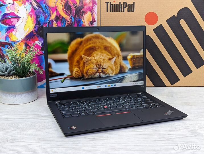 Lenovo ThinkPad T495 Ryzen 7 PRO 3700U 16/256