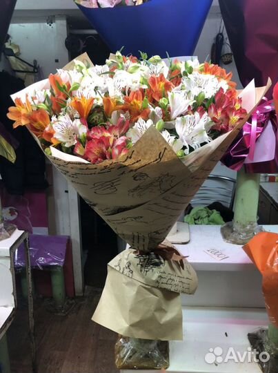 Цветок Альстермерия, Перуанская Лилия