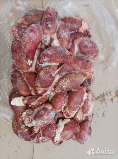 Семенники говяжьи