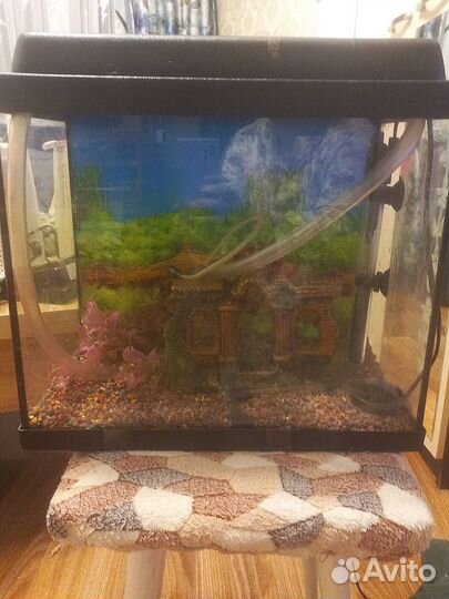 Продам аквариум
