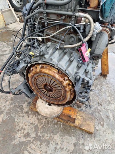 Комплект сцепления Daf Xf 106 2018