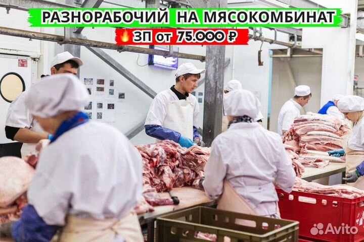 Разнорабочий на мясокомбинат. Вахта