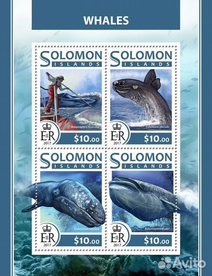 Соломоновы о-ва, 2017. (slm17218) Морская фауна, к