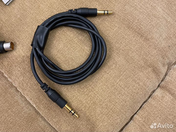 Тюльпаны провода