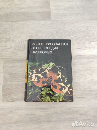 Энциклопедия о насекомых