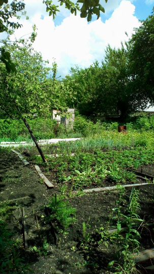 Участок 8,75 га (ИЖС)