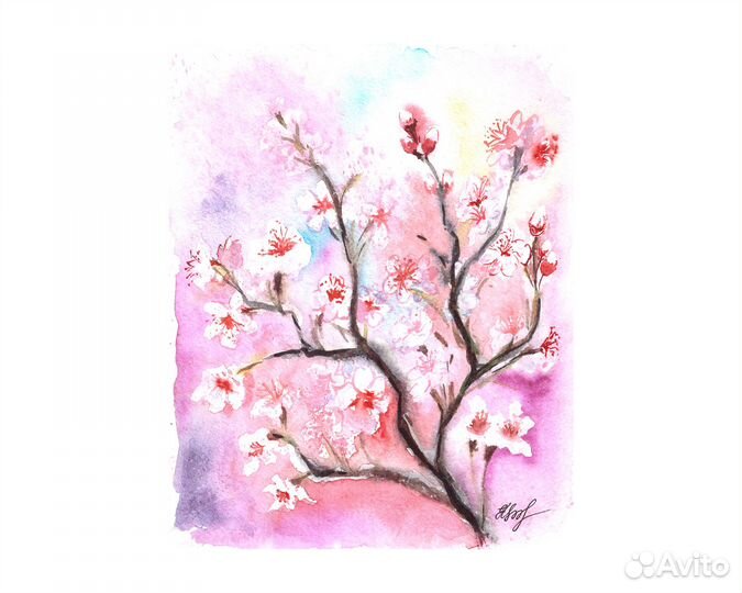 Картина акварелью. Сакура