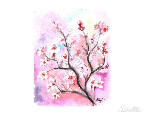 Картина акварелью. Сакура