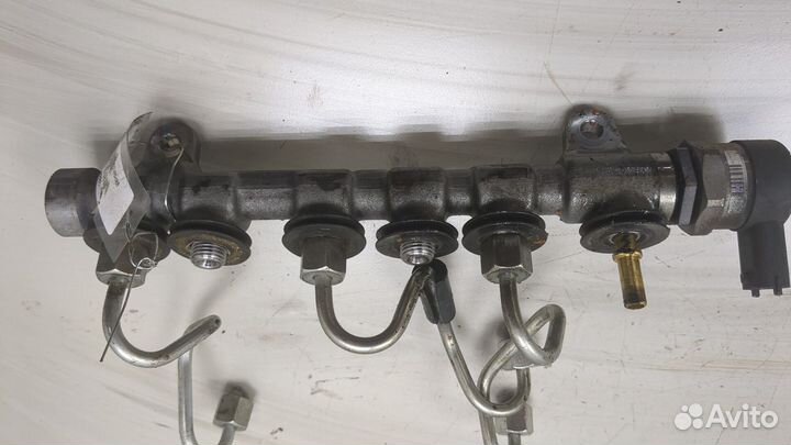 Рампа топливная Infiniti EX35, 2011