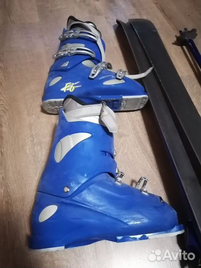 Горные лыжи