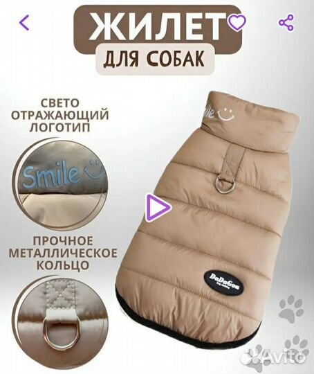 Одежда для маленьких пород собак