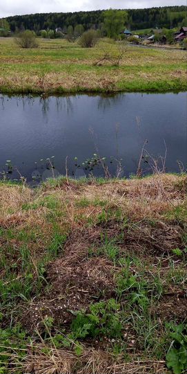 Участок 12 сот. (ИЖС)