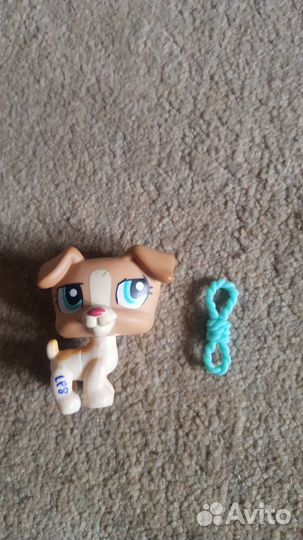 Наборы Littlest Pet shop