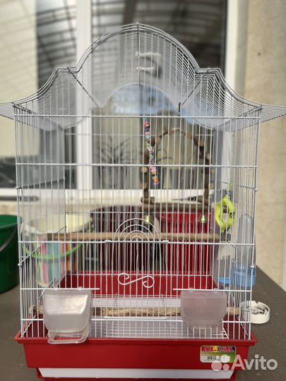 Клетка для попугая