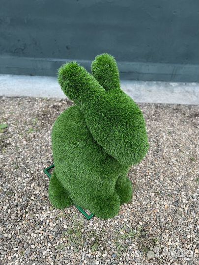 Топиари Топиарные фигуры Садовые фигуры