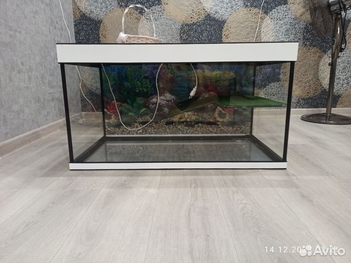 Террариум для красноухой черепахи