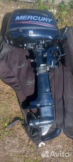 Mercury FourStroke F6 M