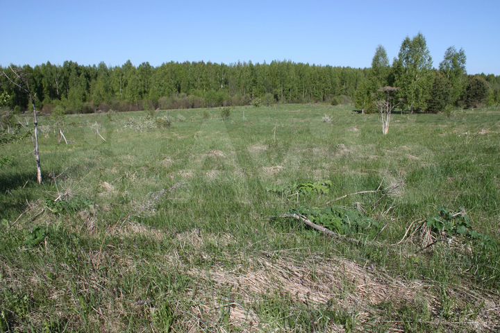 Участок 2,4 га (ИЖС)