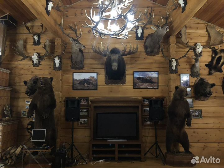 Аренда Караоке Оборудования ast, ast250 evolution