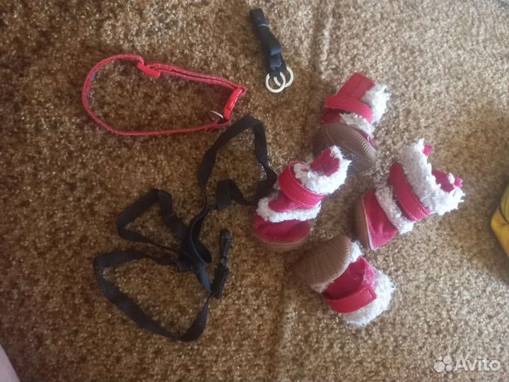 Принадлежности для собаки или кошки