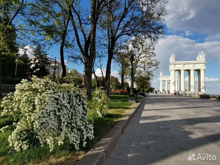 Алина. Экскурсии, Волгоград