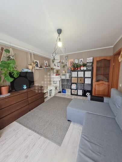 2-к. квартира, 54,9 м², 2/2 эт.