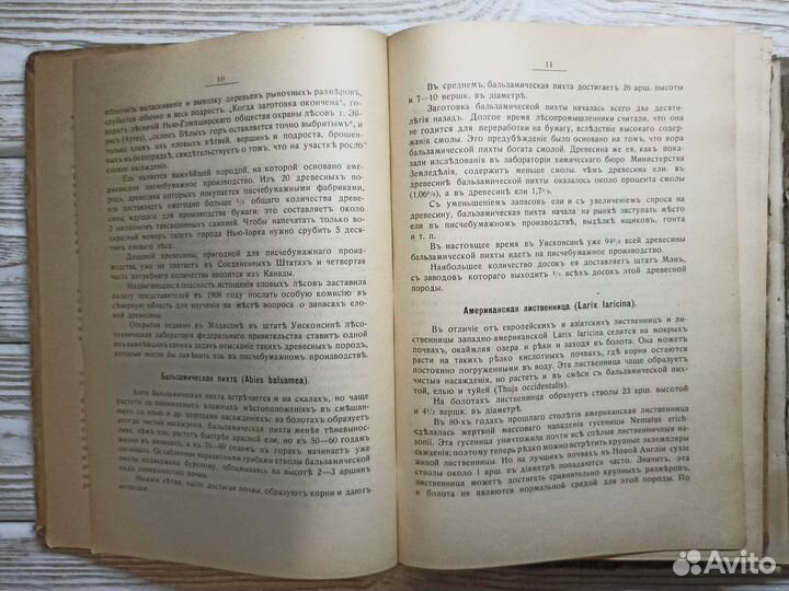 3 старинные книги 1893г. О лесе, лесном хозяйстве