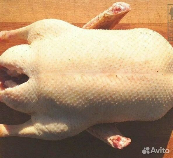 Гусь утка тушки