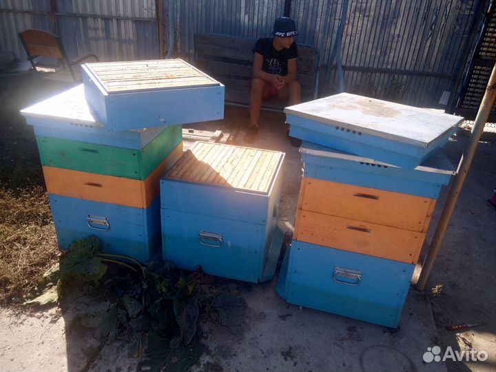 Ульи 3шт + рамки с сушью