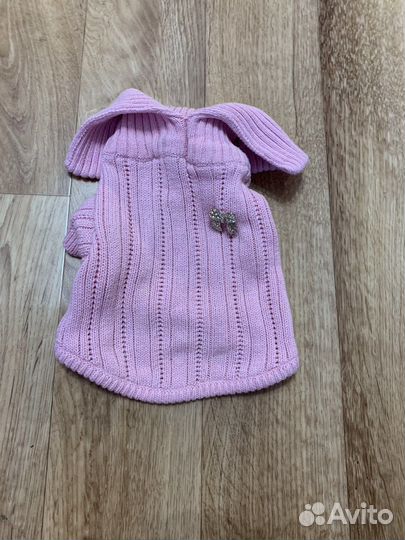 Одежда для собачки