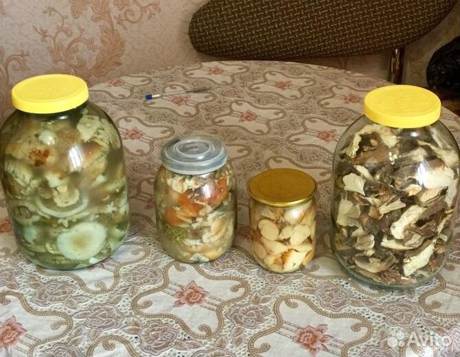 Грибы солёные, сушеные