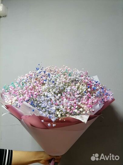 Гипсофила разные цвета