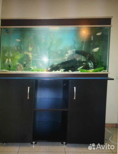 Аквариум
