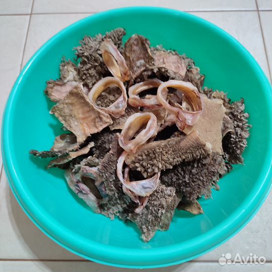 Вкусняшки для собак