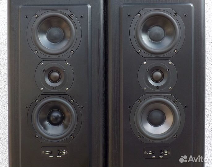 T+A Criterion TB 140. Напольная акустика. Тoп