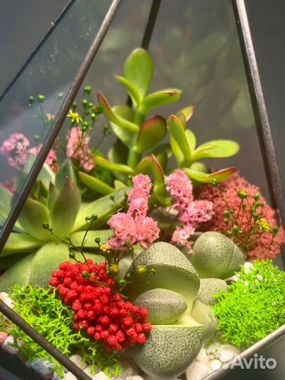 Флорариум Букет на 8 марта