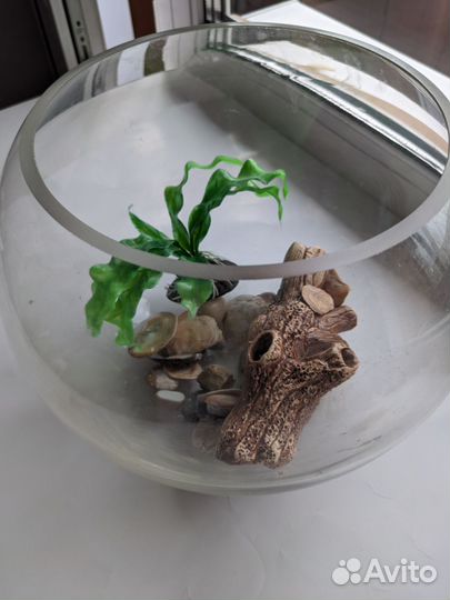 Аквариум с фигурками