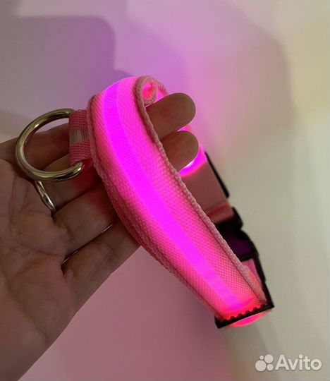 Светящийся ошейник для собаки L (38-50см)