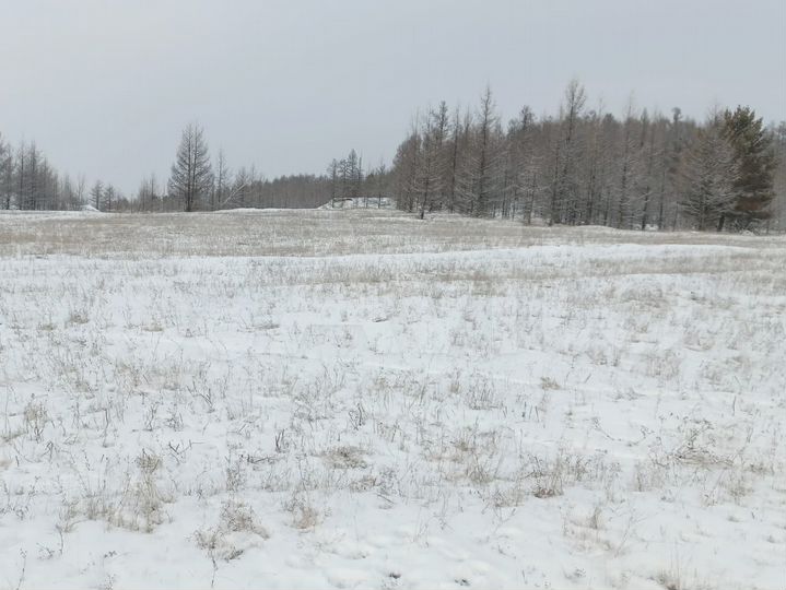 Участок 5 га (СНТ, ДНП)