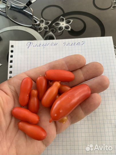 Рассада томатов более 20 сортов